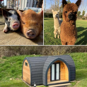 The Piggery Pod